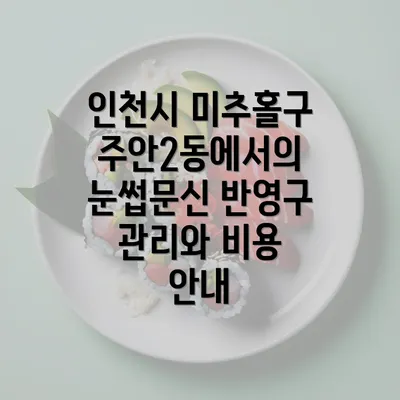 인천시 미추홀구 주안2동에서의 눈썹문신 반영구 관리와 비용 안내