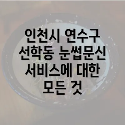 인천시 연수구 선학동 눈썹문신 서비스에 대한 모든 것