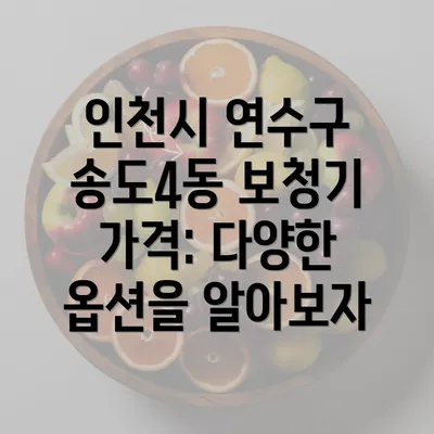 인천시 연수구 송도4동 보청기 가격: 다양한 옵션을 알아보자