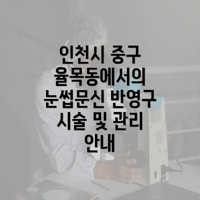 인천시 중구 율목동에서의 눈썹문신 반영구 시술 및 관리 안내