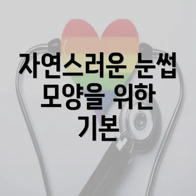 자연스러운 눈썹 모양을 위한 기본