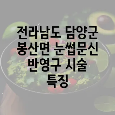 전라남도 담양군 봉산면 눈썹문신 반영구 시술 특징