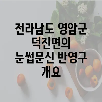 전라남도 영암군 덕진면의 눈썹문신 반영구 개요