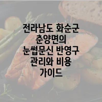 전라남도 화순군 춘양면의 눈썹문신 반영구 관리와 비용 가이드