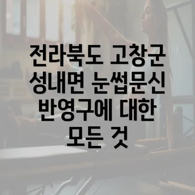 전라북도 고창군 성내면 눈썹문신 반영구에 대한 모든 것