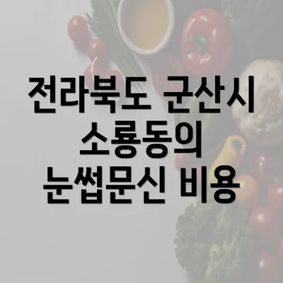 전라북도 군산시 소룡동의 눈썹문신 비용