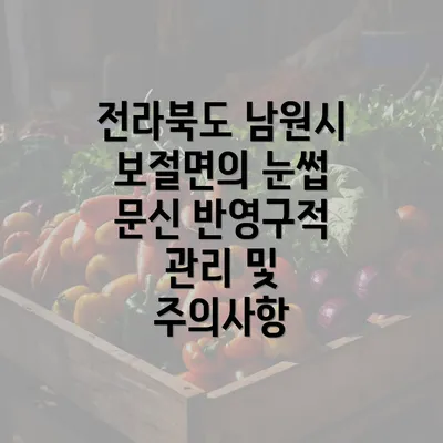 전라북도 남원시 보절면의 눈썹 문신 반영구적 관리 및 주의사항