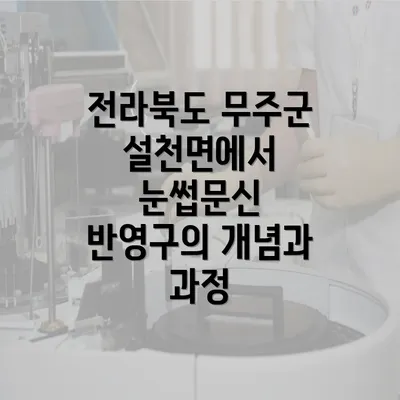 전라북도 무주군 설천면에서 눈썹문신 반영구의 개념과 과정