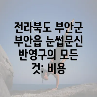 전라북도 부안군 부안읍 눈썹문신 반영구의 모든 것: 비용