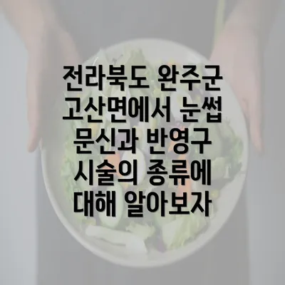 전라북도 완주군 고산면에서 눈썹 문신과 반영구 시술의 종류에 대해 알아보자