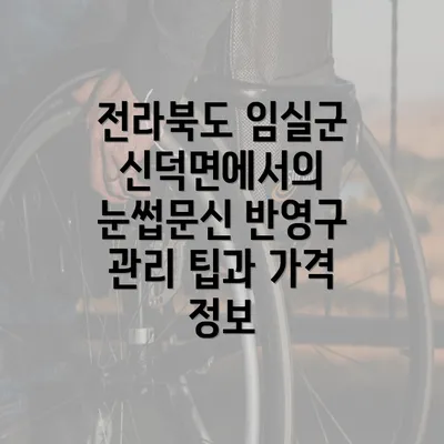 전라북도 임실군 신덕면에서의 눈썹문신 반영구 관리 팁과 가격 정보