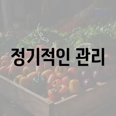 정기적인 관리