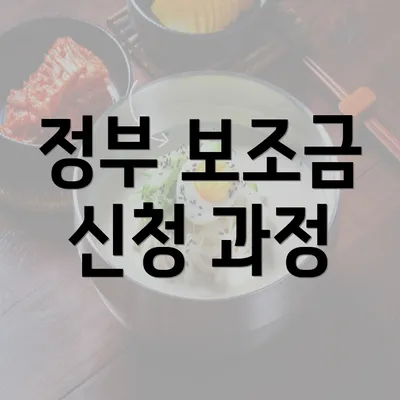 정부 보조금 신청 과정