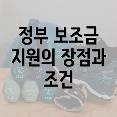 정부 보조금 지원의 장점과 조건