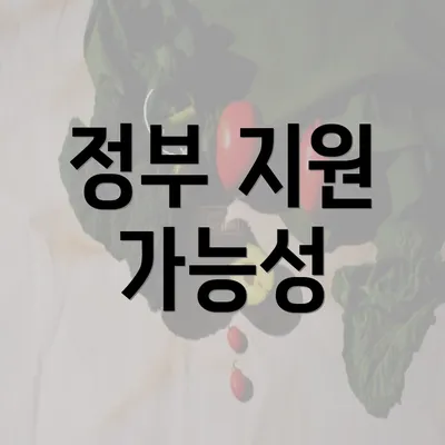 정부 지원 가능성