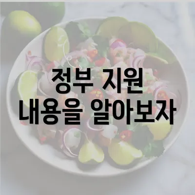 정부 지원 내용을 알아보자