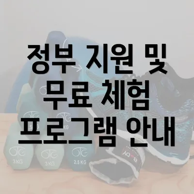 정부 지원 및 무료 체험 프로그램 안내