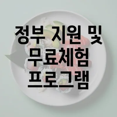 정부 지원 및 무료체험 프로그램