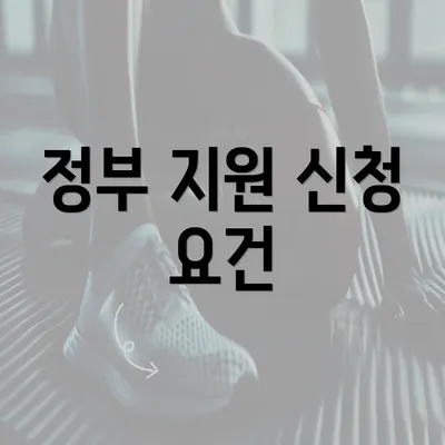 정부 지원 신청 요건