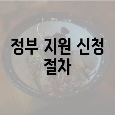 정부 지원 신청 절차