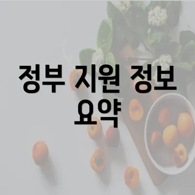 정부 지원 정보 요약