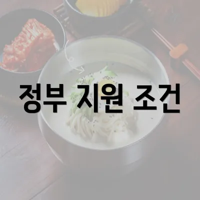 정부 지원 조건