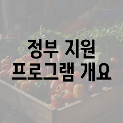 정부 지원 프로그램 개요