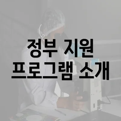 정부 지원 프로그램 소개