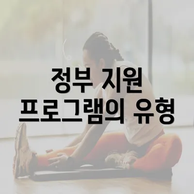 정부 지원 프로그램의 유형