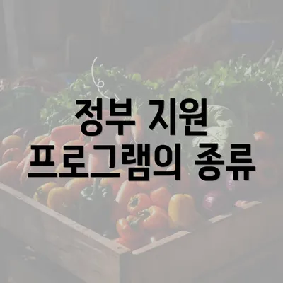 정부 지원 프로그램의 종류