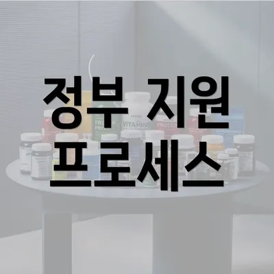 정부 지원 프로세스