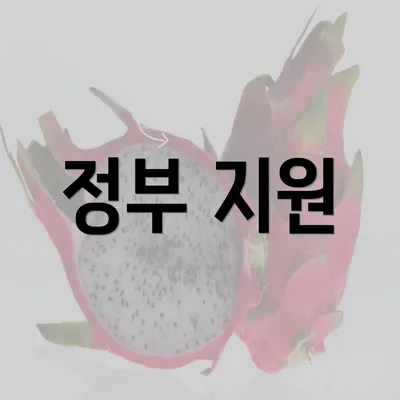 정부 지원