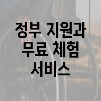 정부 지원과 무료 체험 서비스