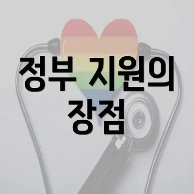 정부 지원의 장점