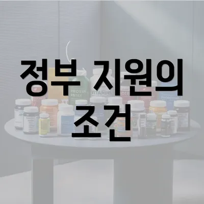 정부 지원의 조건