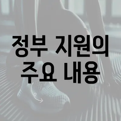 정부 지원의 주요 내용