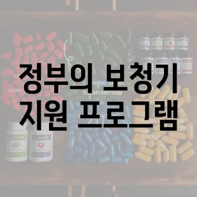 정부의 보청기 지원 프로그램