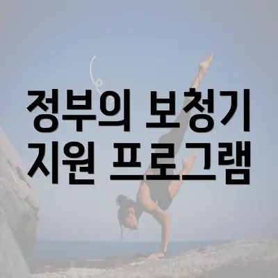 정부의 보청기 지원 프로그램