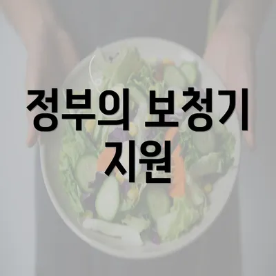 정부의 보청기 지원