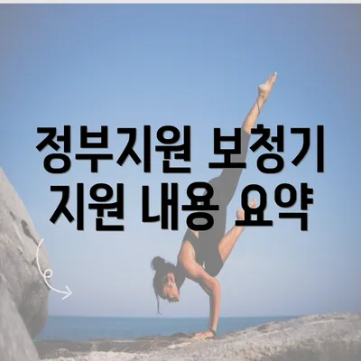 정부지원 보청기 지원 내용 요약