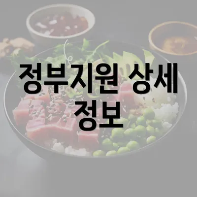 정부지원 상세 정보