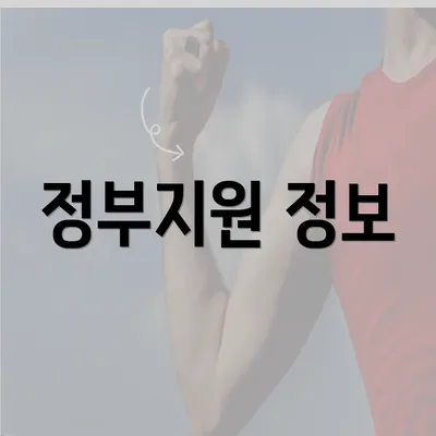 정부지원 정보