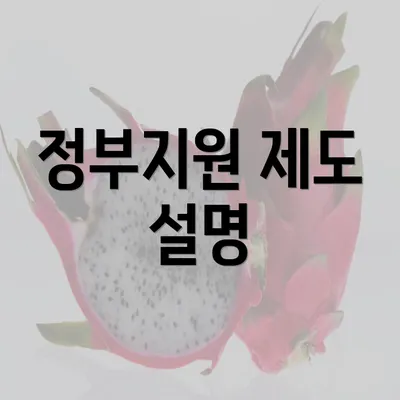 정부지원 제도 설명