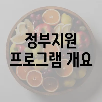 정부지원 프로그램 개요