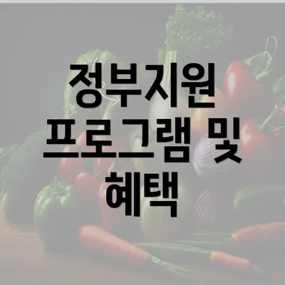 정부지원 프로그램 및 혜택