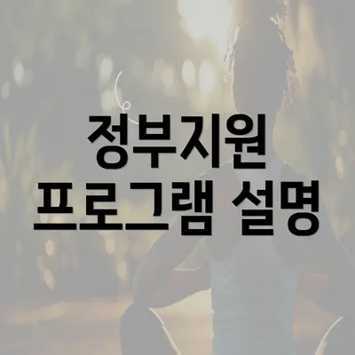 정부지원 프로그램 설명