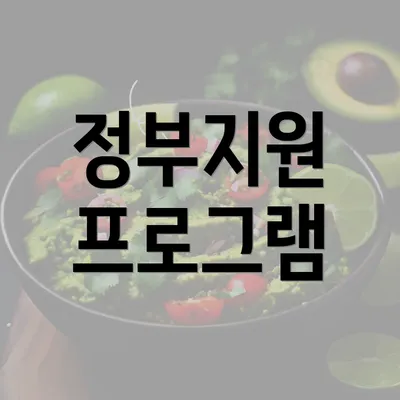 정부지원 프로그램