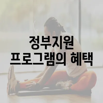 정부지원 프로그램의 혜택