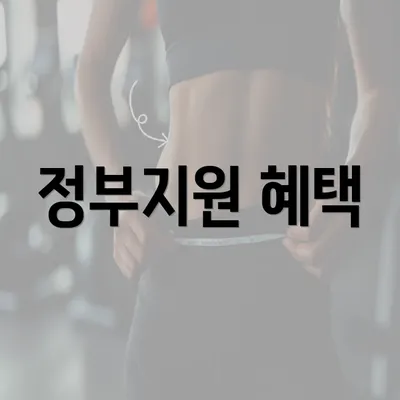 정부지원 혜택