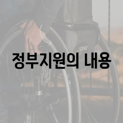 정부지원의 내용